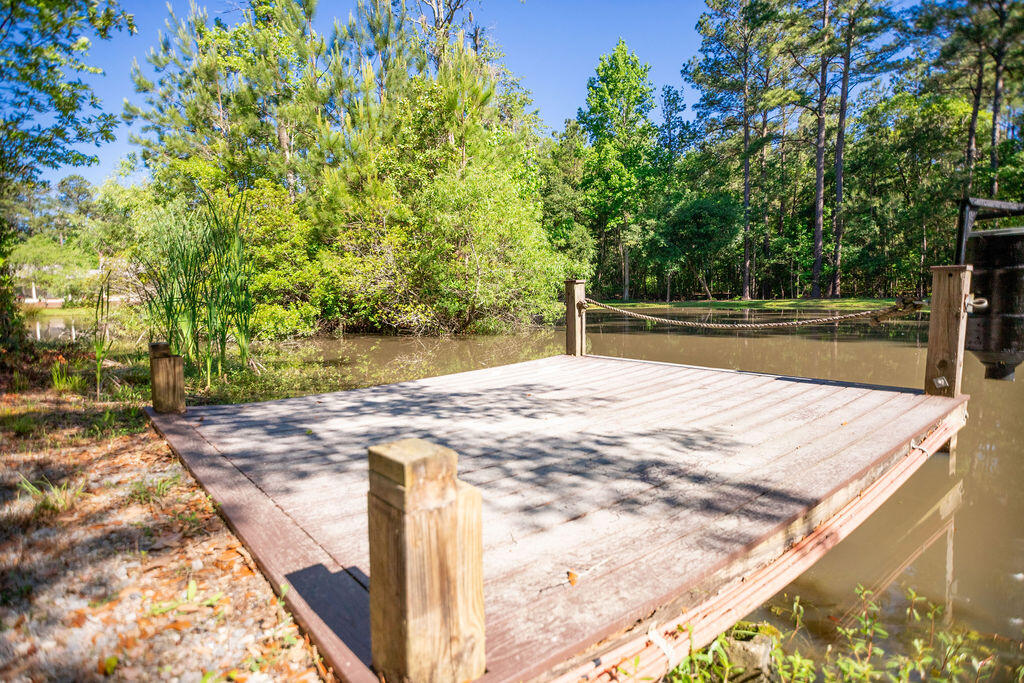 104 State Rd S-15-92 Walterboro, SC 29488 - Photo 57 of 75 IMG_5096