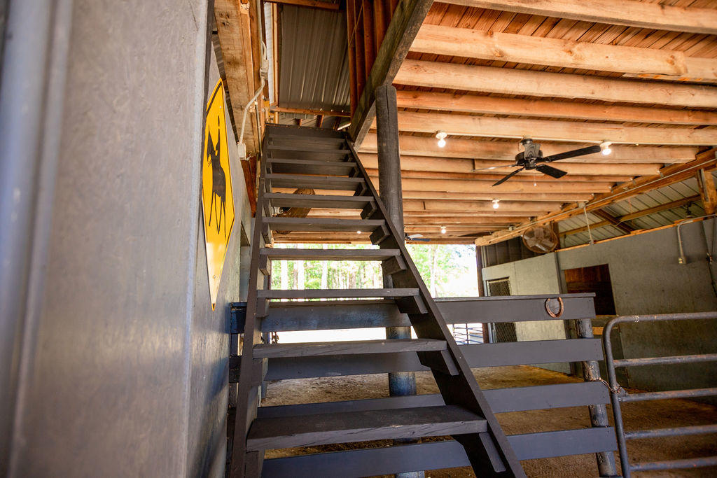 104 State Rd S-15-92 Walterboro, SC 29488 - Photo 65 of 75 IMG_5082