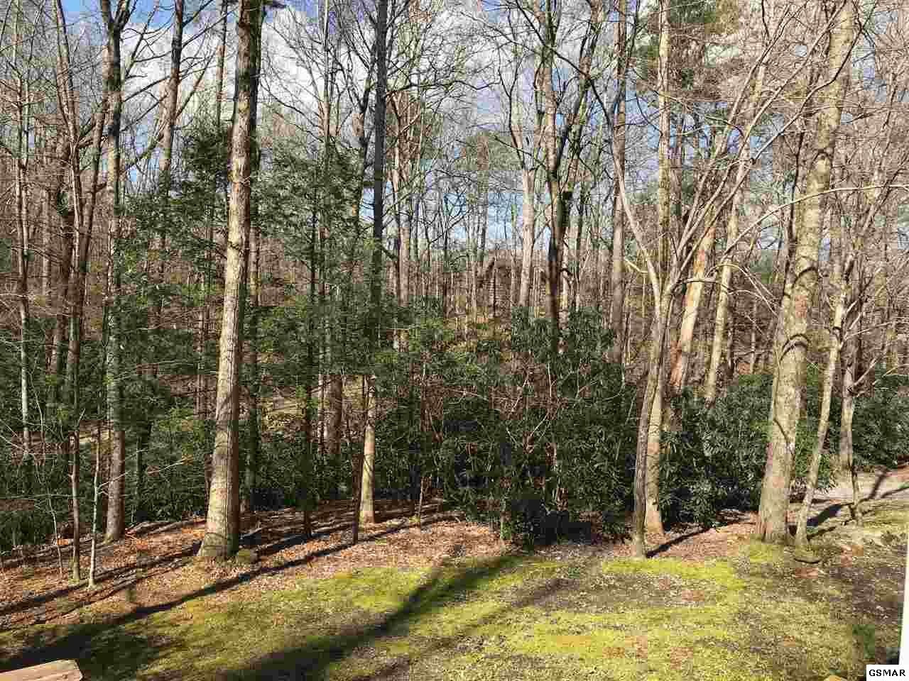 3105 Valley Home Road Sevierville, TN 37862 - Photo 21 of 26