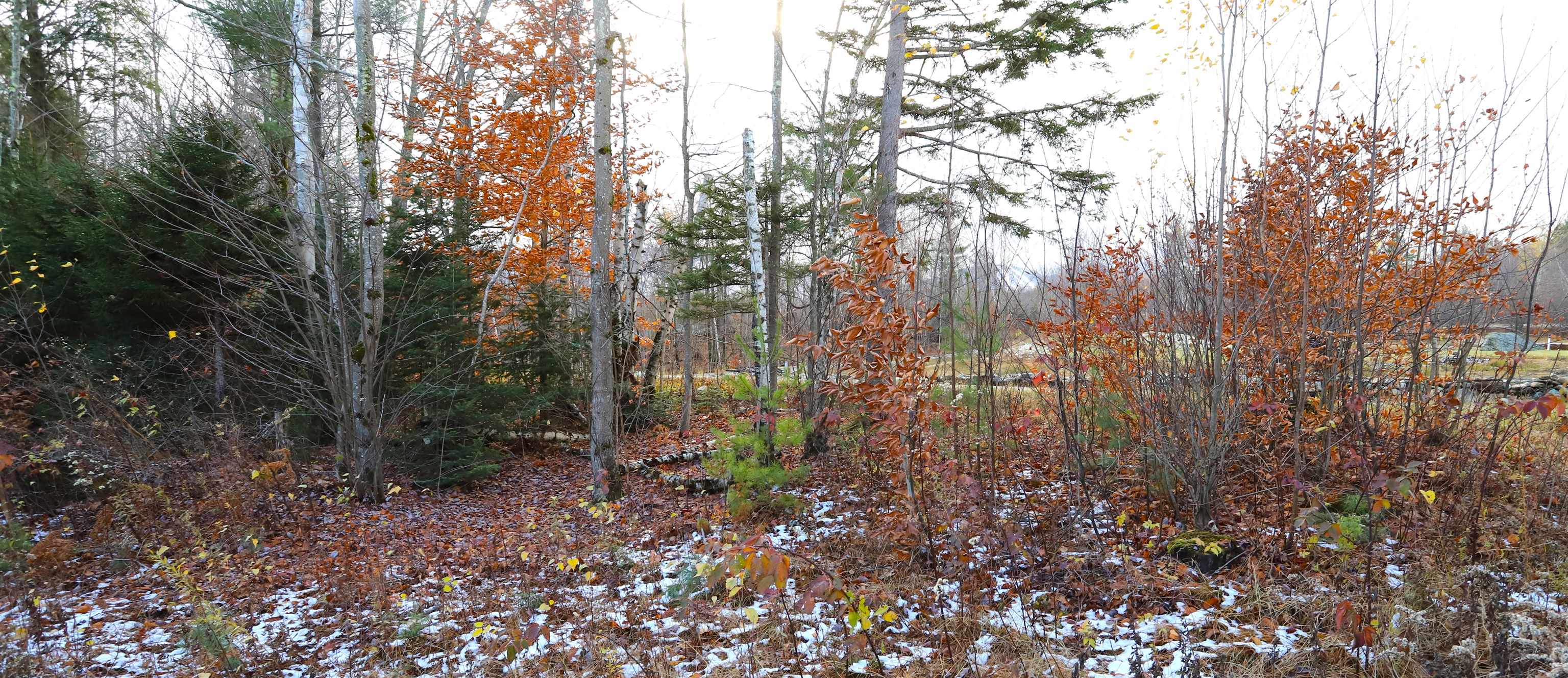 Tbd Sargents Way Jay, VT 05859 - Photo 11 of 27