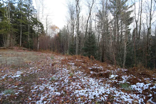 $165,000 | Tbd Sargents Way, Jay, VT 05859
