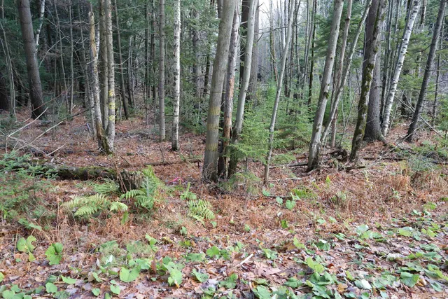 $165,000 | Tbd Sargents Way, Jay, VT 05859