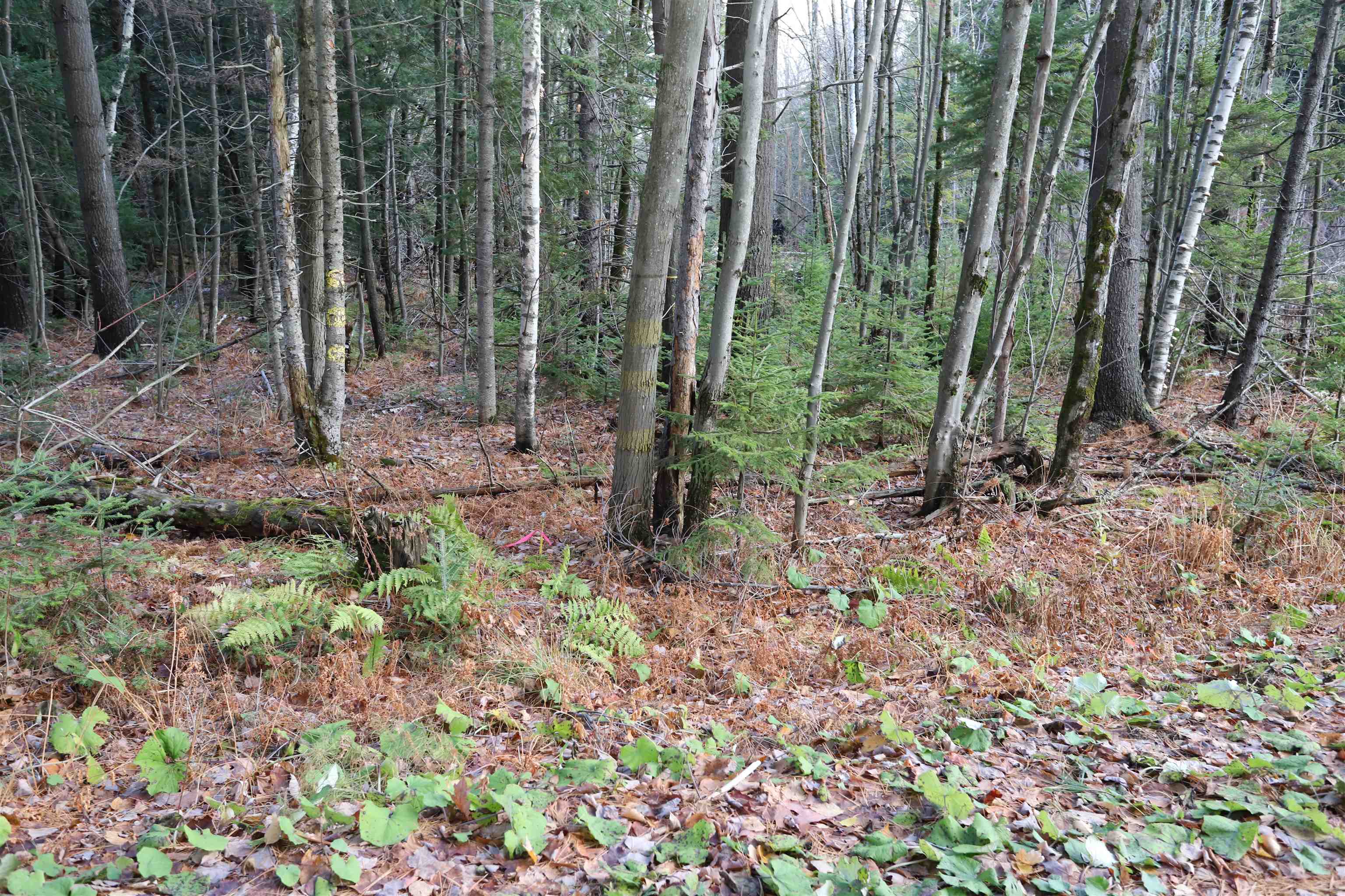 Tbd Sargents Way Jay, VT 05859 - Photo 15 of 27