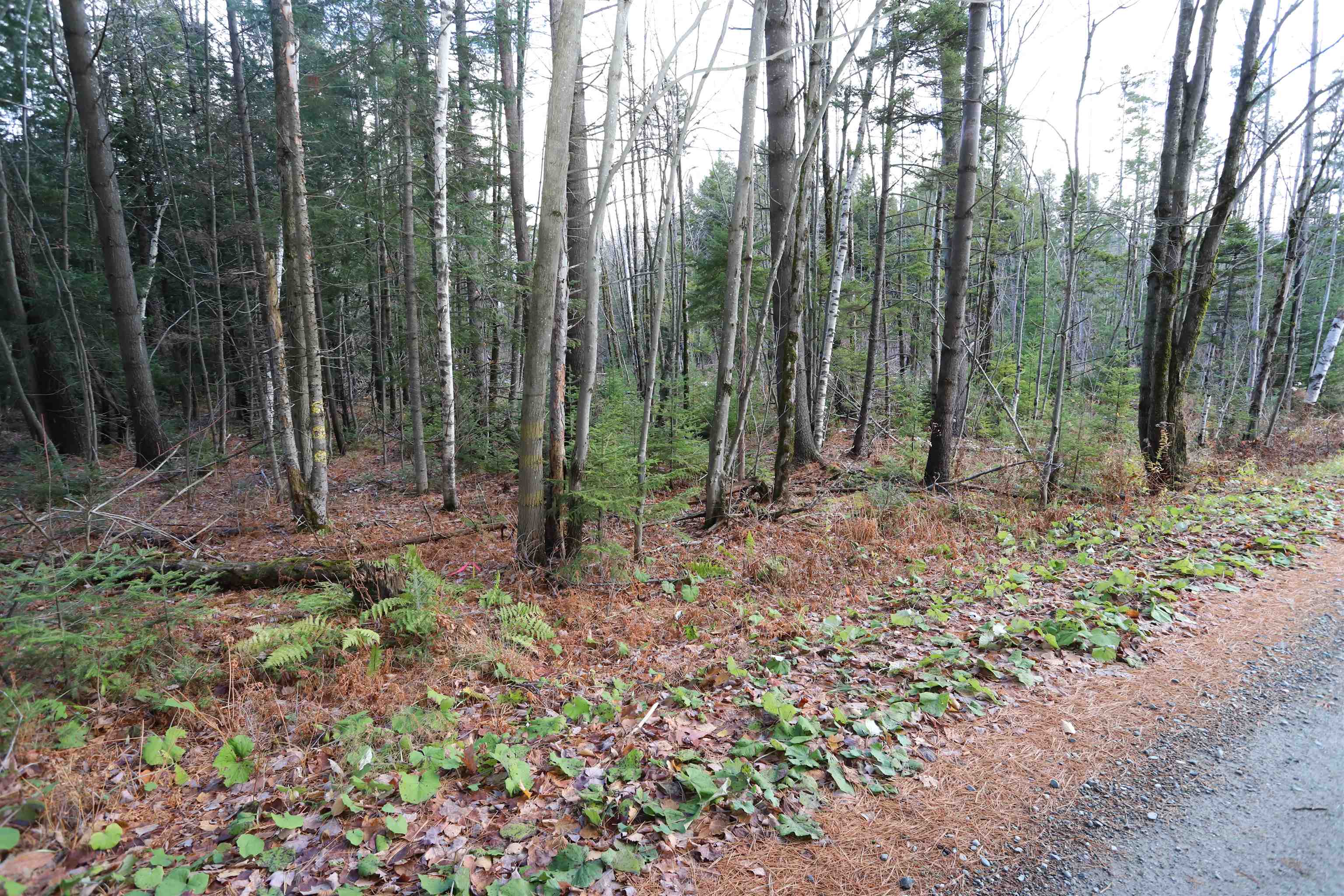 Tbd Sargents Way Jay, VT 05859 - Photo 16 of 27