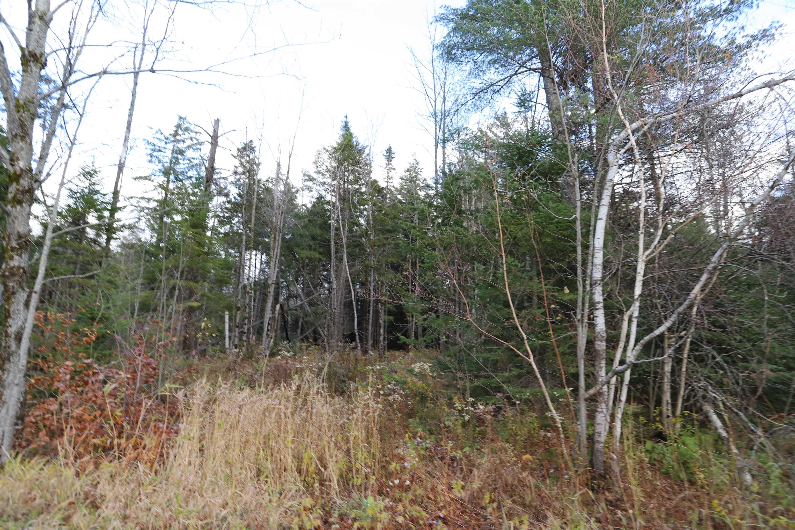 Tbd Sargents Way Jay, VT 05859 - Photo 17 of 27