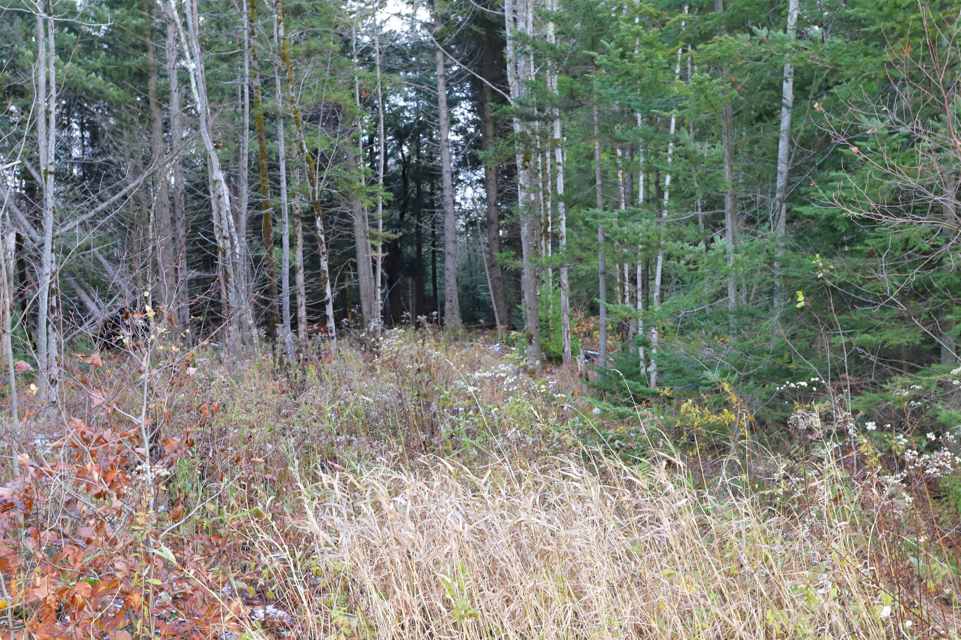 Tbd Sargents Way Jay, VT 05859 - Photo 18 of 27