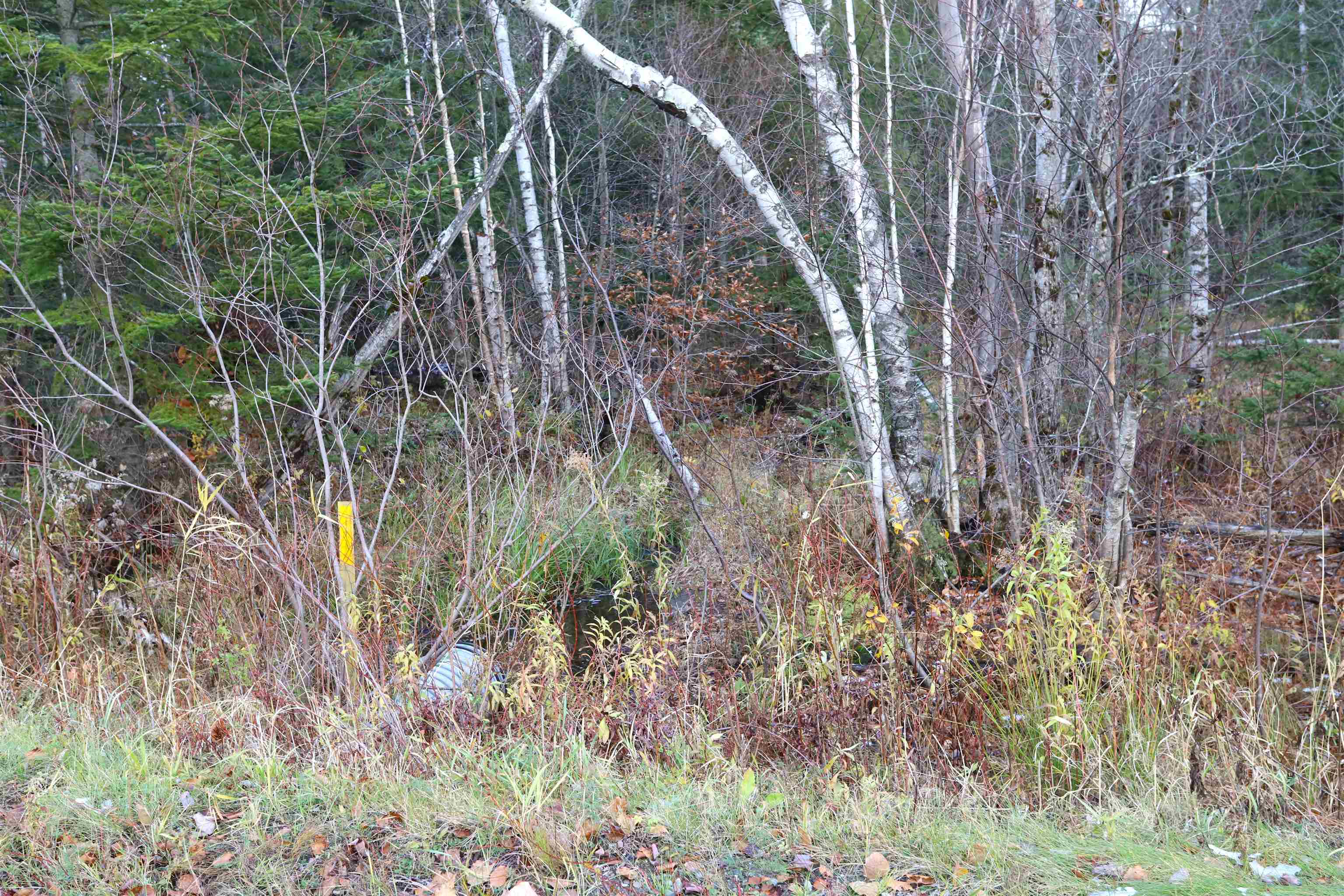 Tbd Sargents Way Jay, VT 05859 - Photo 19 of 27