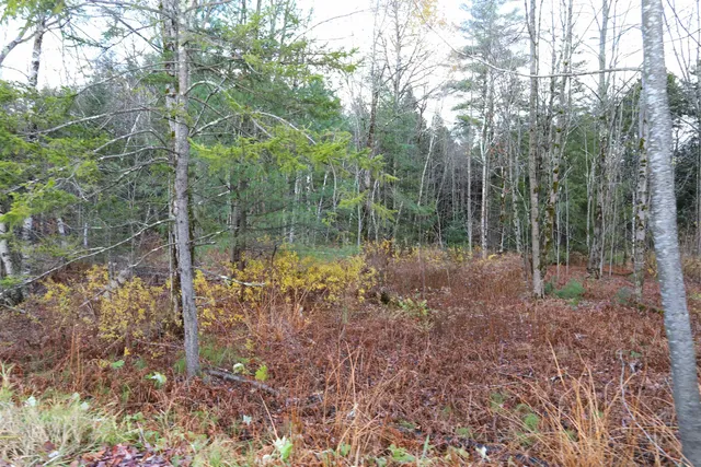 $165,000 | Tbd Sargents Way, Jay, VT 05859