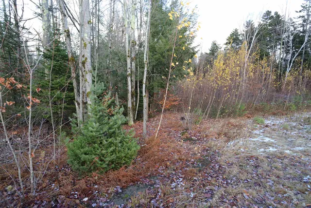 $165,000 | Tbd Sargents Way, Jay, VT 05859