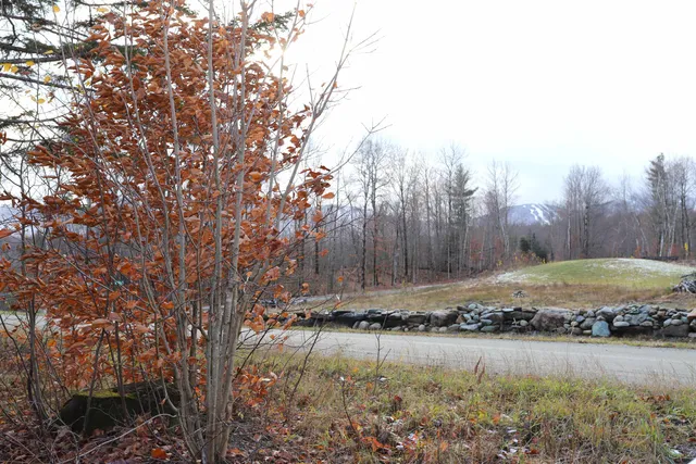 $165,000 | Tbd Sargents Way, Jay, VT 05859