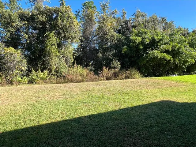 a view of a yard with plants and a brick wall