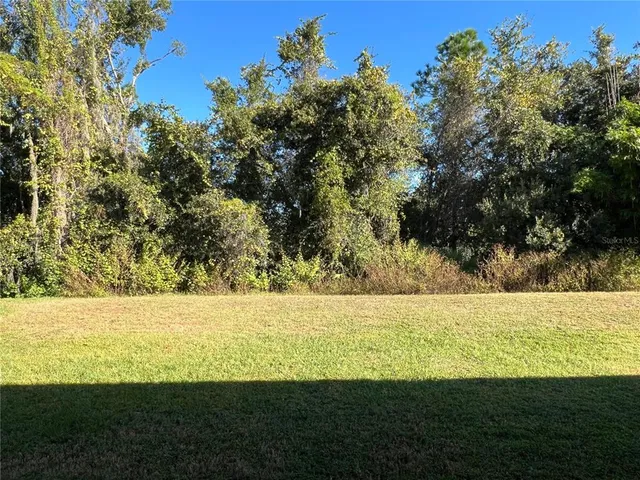 $500,000 | 16318 Bridgelawn Avenue, Lithia, FL 33547