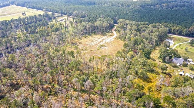 51034 George Road Tickfaw, LA 70466 - Photo 8 of 12