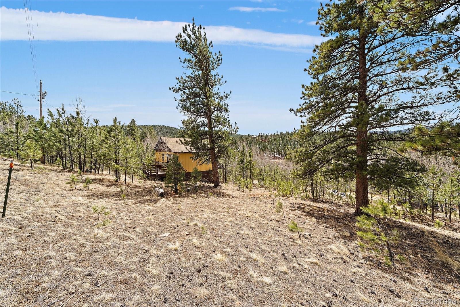 118 Neish Street Bailey, CO 80421 - Photo 17 of 27 a view of outdoor space with trees all around