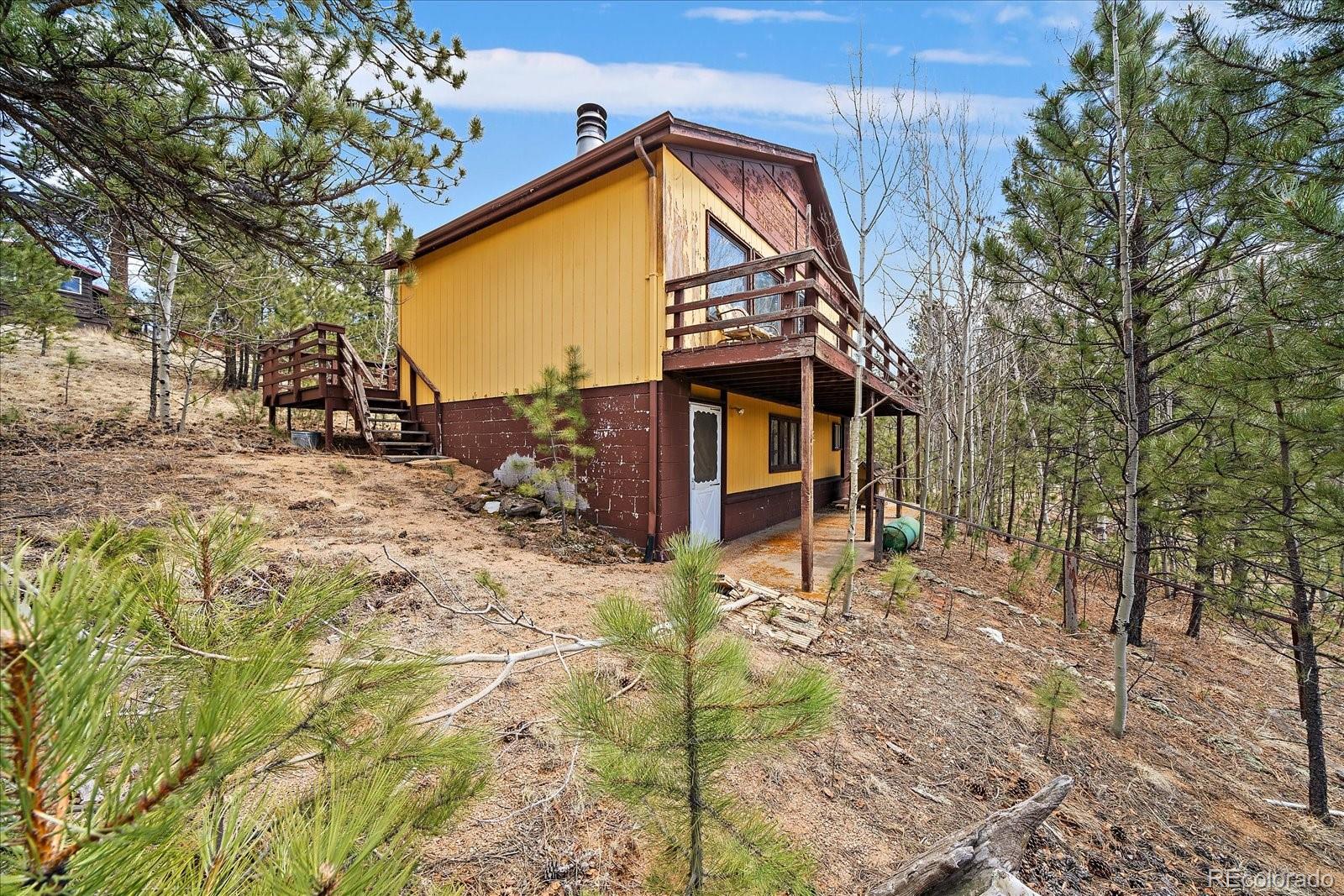 118 Neish Street Bailey, CO 80421 - Photo 2 of 27 a view of a house with a large tree and yard
