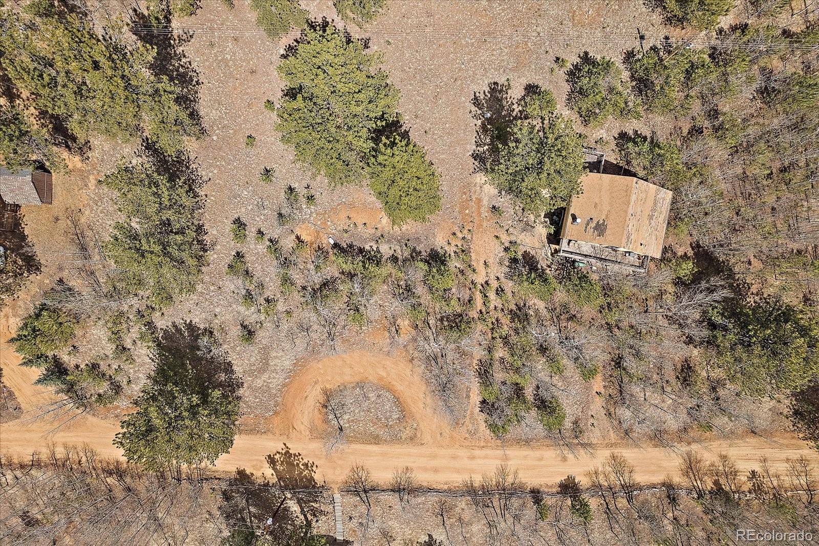 118 Neish Street Bailey, CO 80421 - Photo 22 of 27 a view of statue in a forest