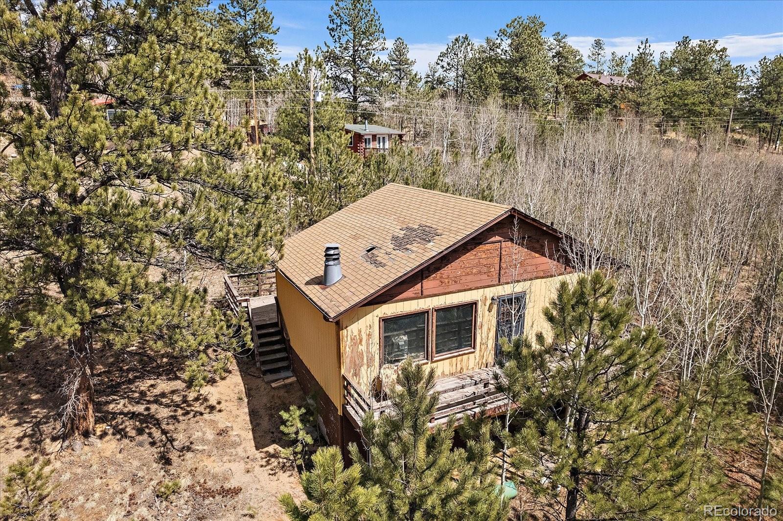 118 Neish Street Bailey, CO 80421 - Photo 4 of 27 a pathway of a house with a yard
