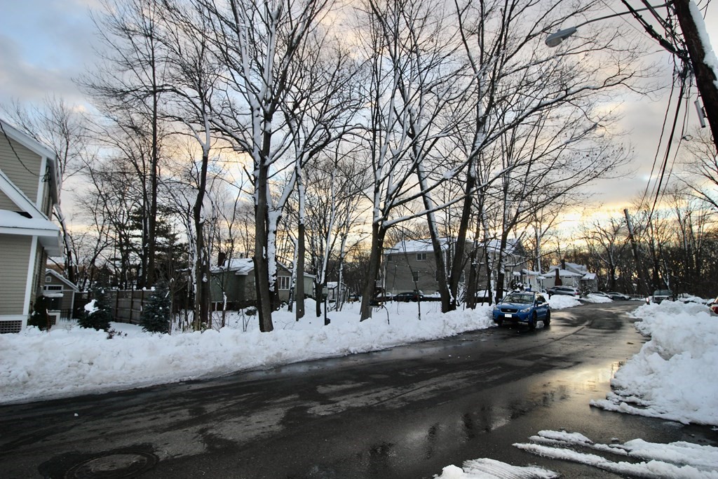 133 Hardy Pond Road Waltham, MA 02451 - Photo 27 of 30 a park view with large trees