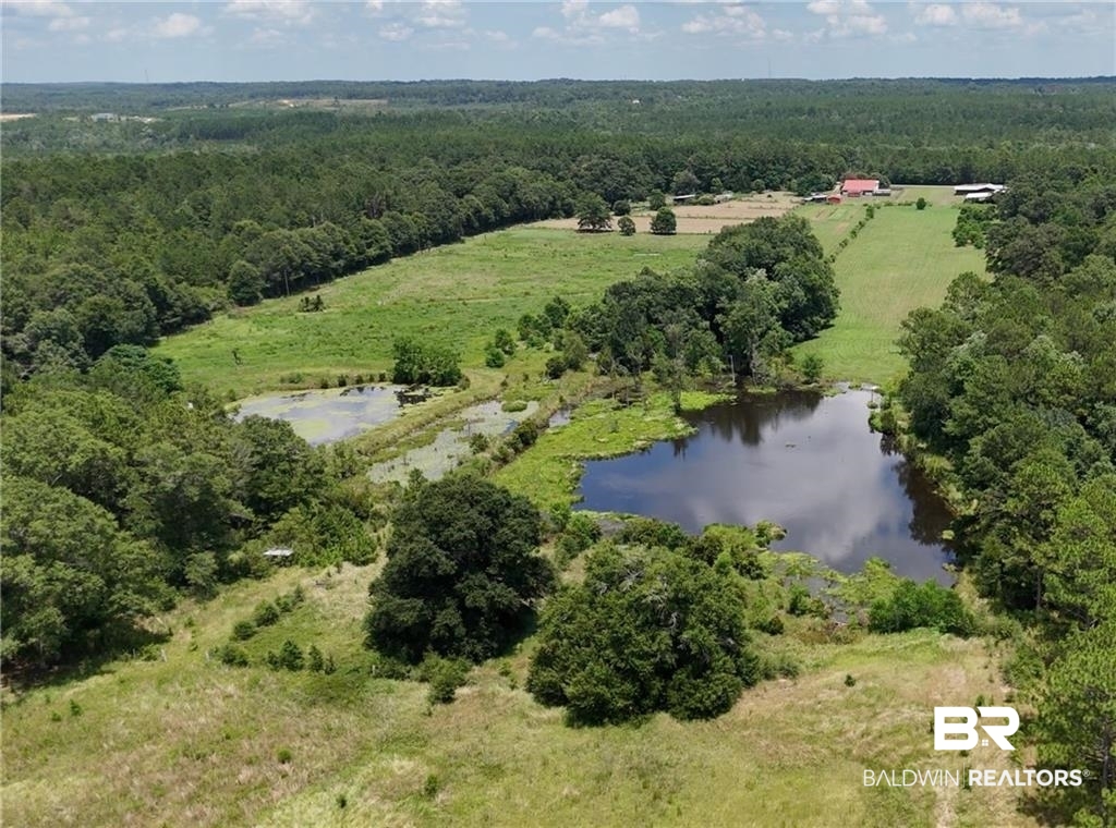 13151 Roberts Road Chunchula, AL 36521 - Photo 39 of 44