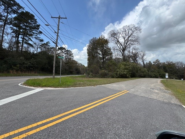 0 Davis Street Elba, AL 36323 - Photo 9 of 14