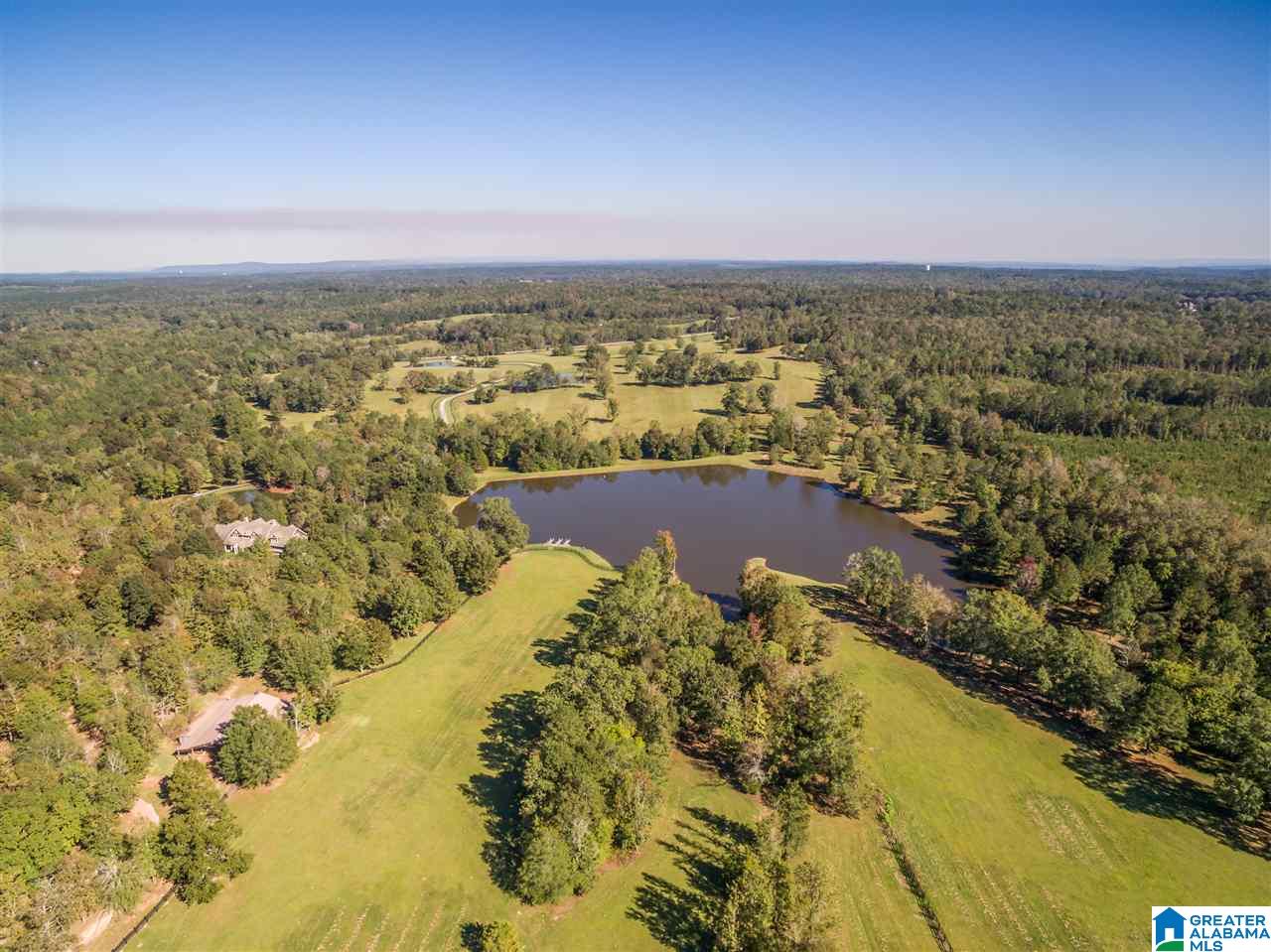 2644 Highway 42 Calera, AL 35040 - Photo 7 of 48
