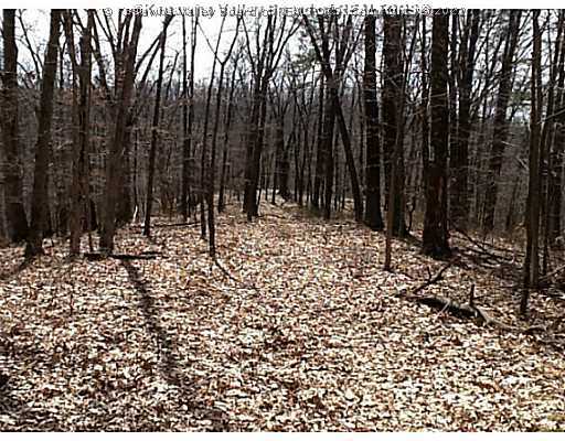 2100 Providence Road Elizabeth, WV 26143 - Photo 6 of 16 Land.