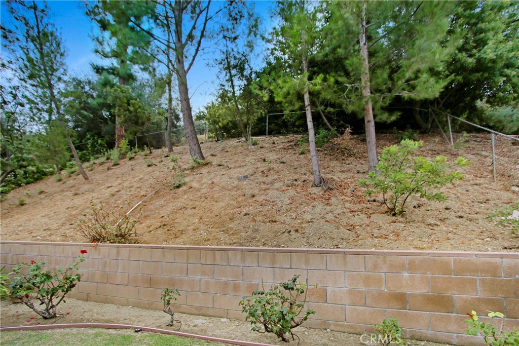 23848 Sunset Crossing Road Diamond Bar, CA 91765 - Photo 28 of 28 a view of outdoor space