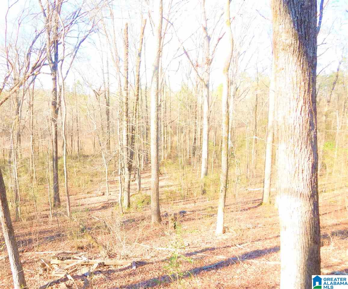 7450 Weems Road Trussville, AL 35173 - Photo 26 of 29
