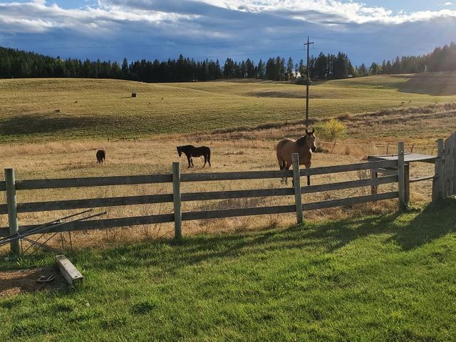 2439 Addy-Gifford Road Addy, WA 99101 - Photo 10 of 19