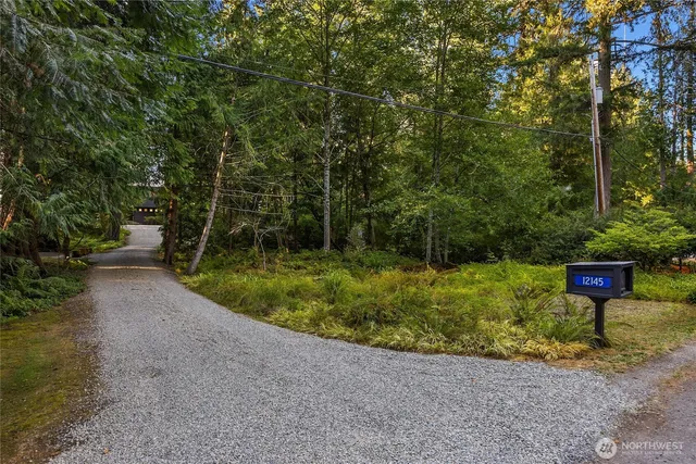 a view of a garden with plants