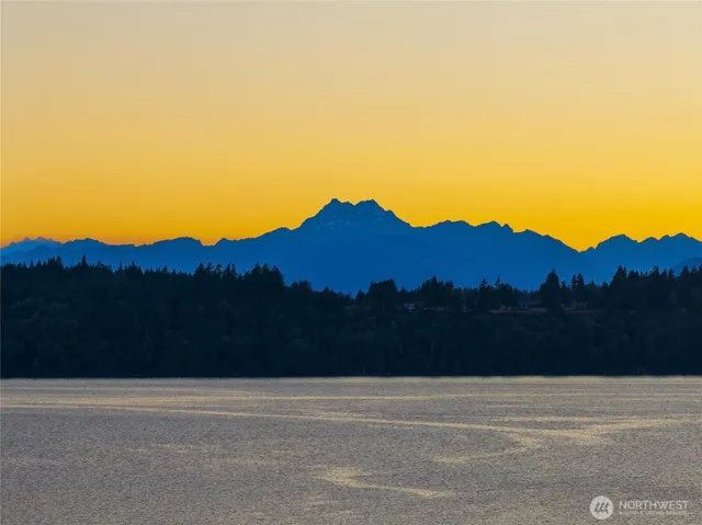 a view of a backyard and a garden