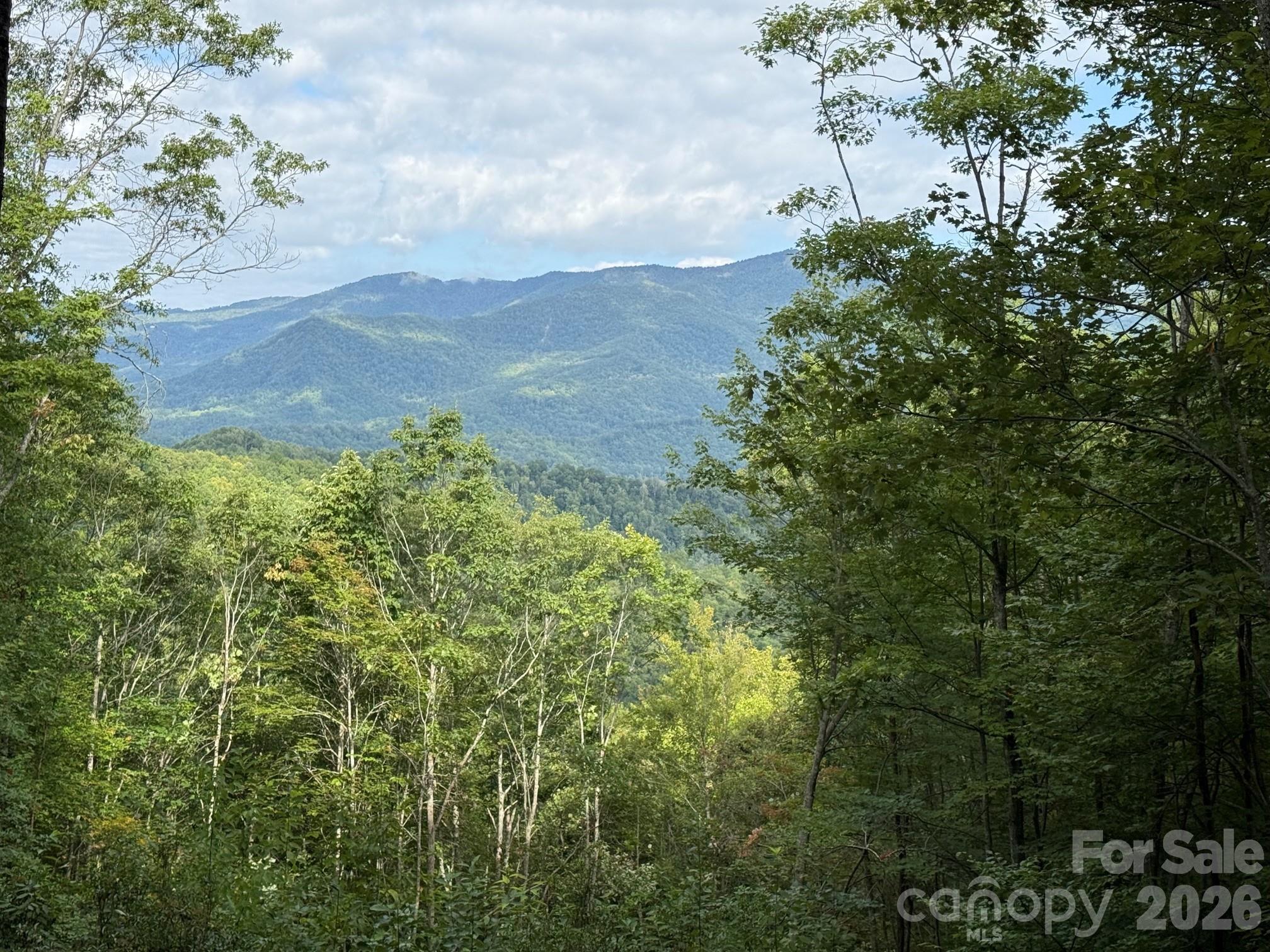 262 Tote Road, Unit 262 Sylva, NC 28779 - Photo 4 of 21