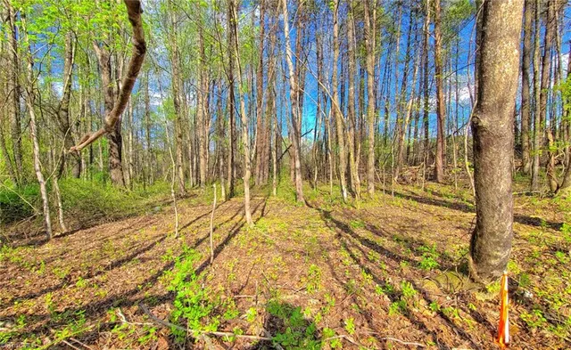 $25,000 | 5091 Donna Marie Court, Walkertown, NC 27051