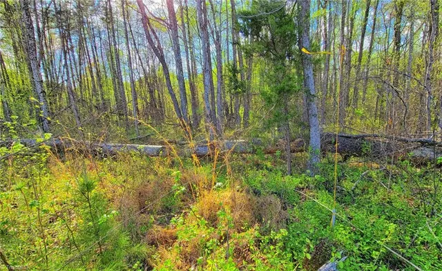 $25,000 | 5091 Donna Marie Court, Walkertown, NC 27051