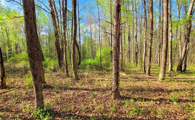 $25,000 | 5091 Donna Marie Court, Walkertown, NC 27051