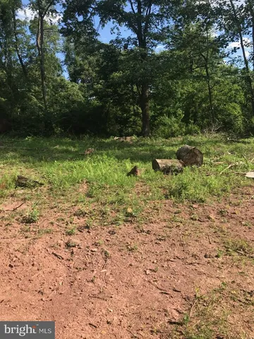 a view of a lush green space