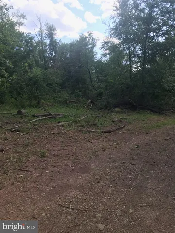 a view of a yard with trees