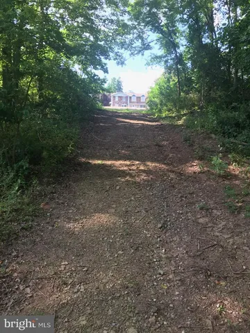 a view of a yard with large trees