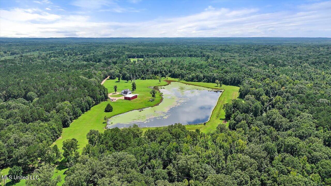 297 Barnes Road Florence, MS 39073 - Photo 113 of 170 085-297 Barnes Rd