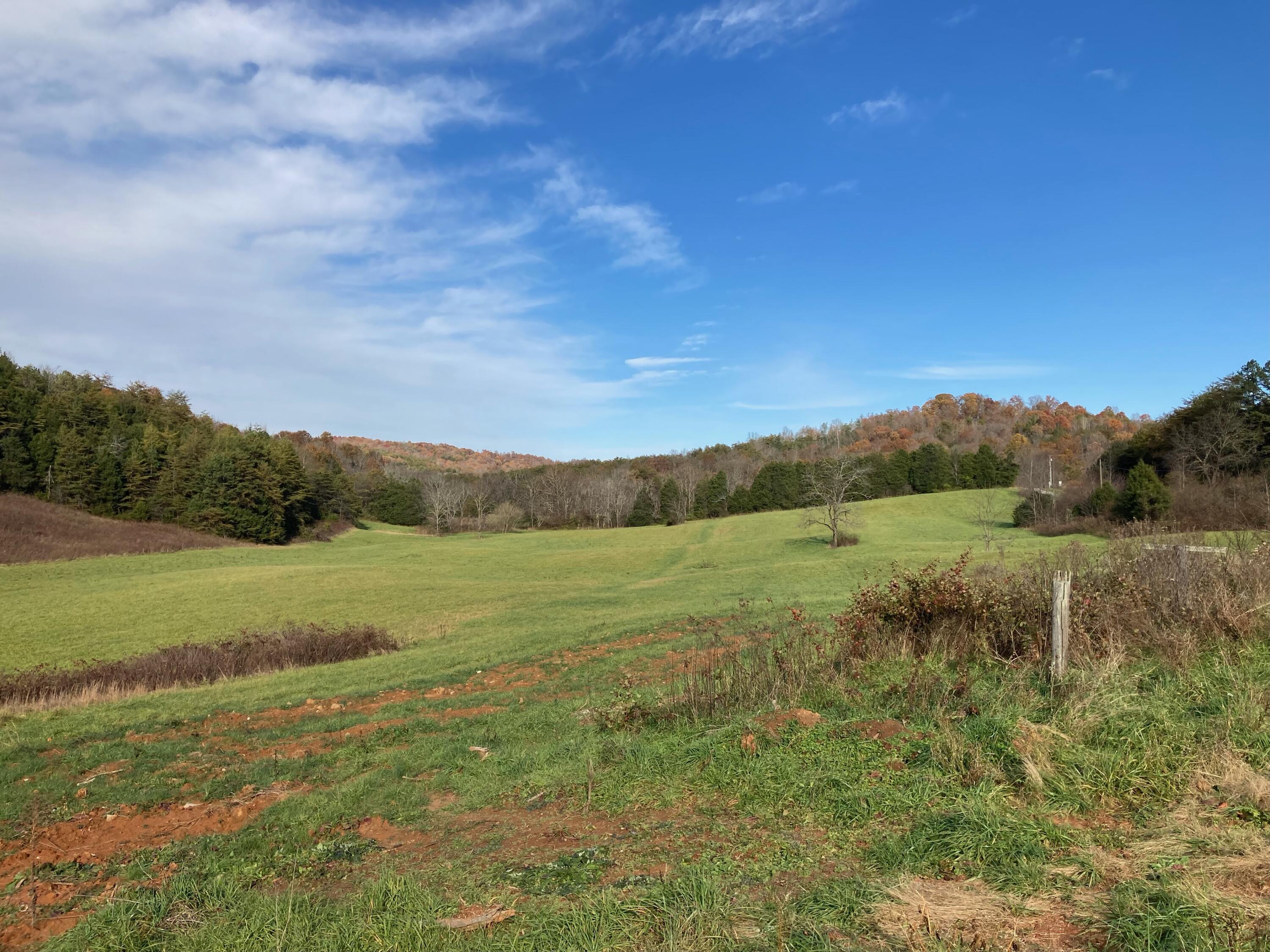 5471 Public Road Somerset, KY 42503 - Photo 14 of 17 IMG_6703