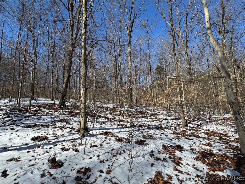 0 In-237 English, IN 47118 - Photo 25 of 50