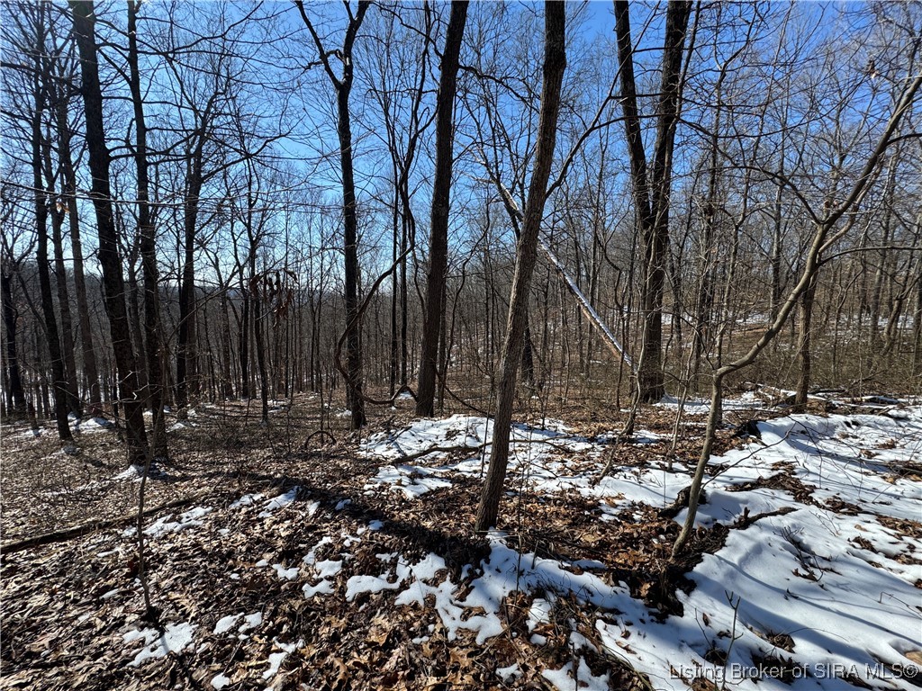 0 In-237 English, IN 47118 - Photo 31 of 50