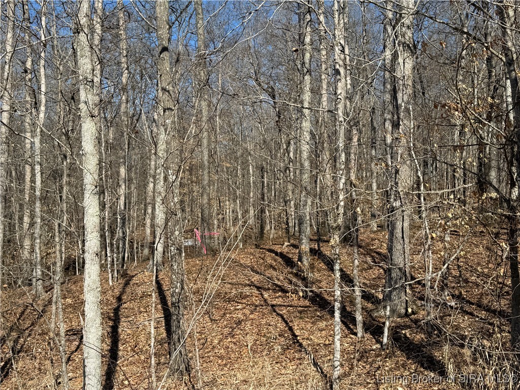 0 In-237 English, IN 47118 - Photo 35 of 50