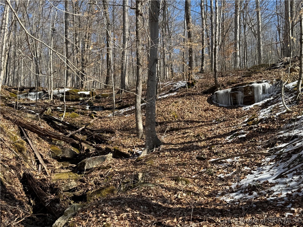 0 In-237 English, IN 47118 - Photo 37 of 50