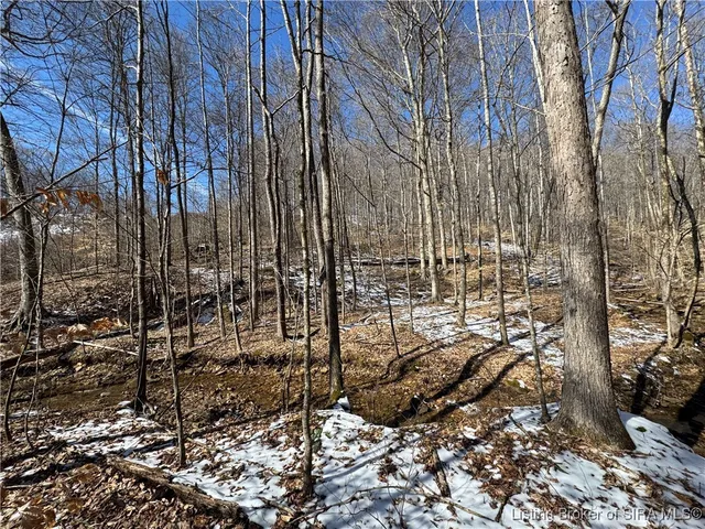 $1,399,000 | 0 In-237, English, IN 47118