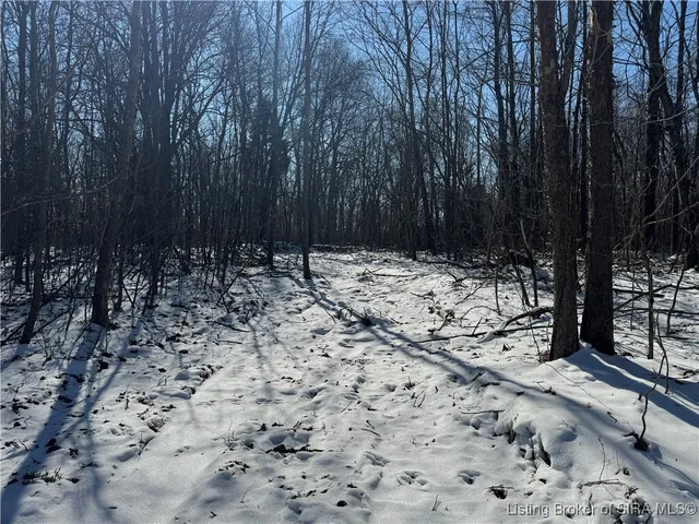 $1,399,000 | 0 In-237, English, IN 47118