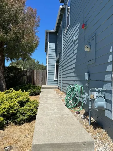 a view of backyard with potted plants