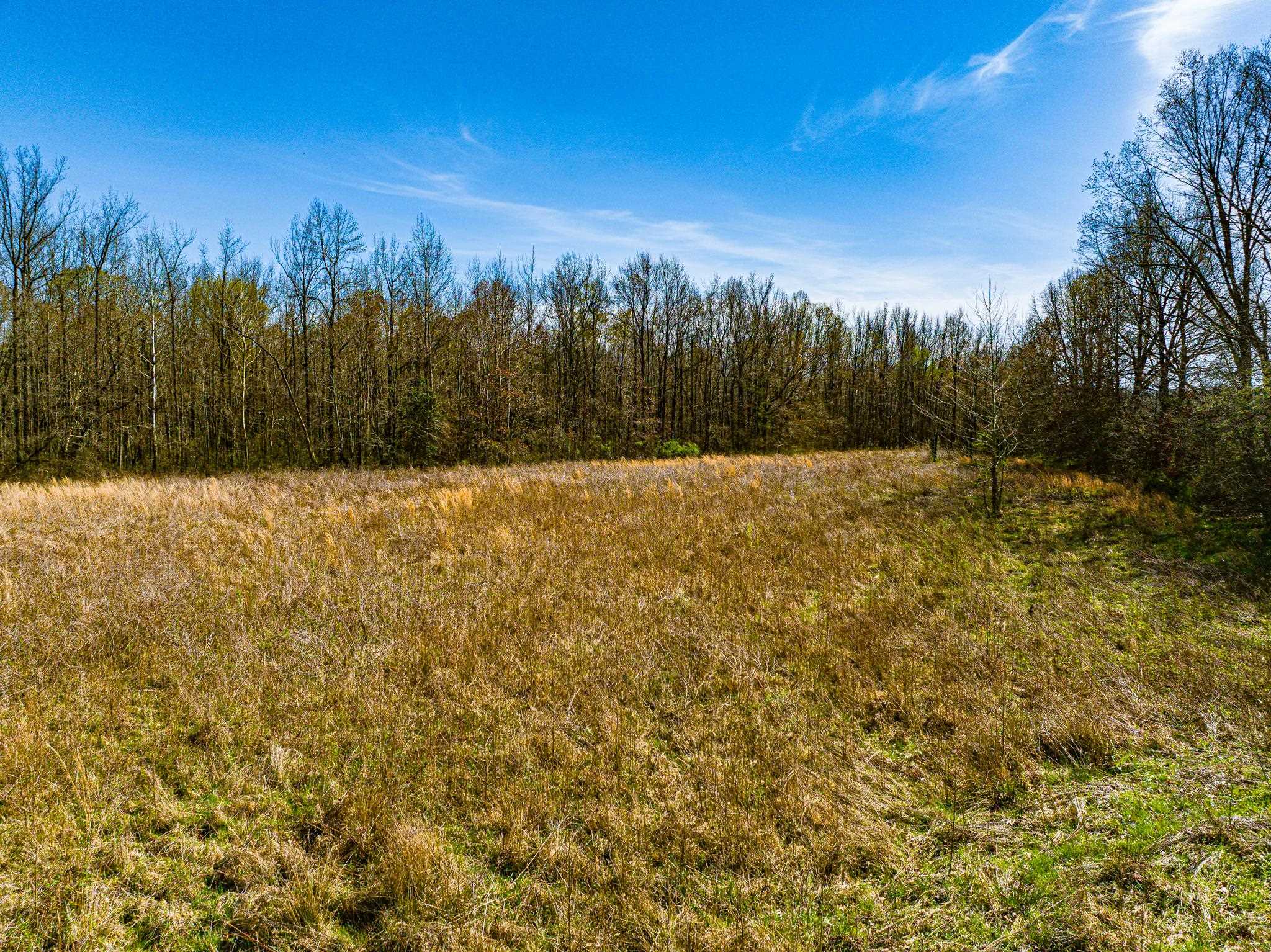 0 Hammlett Road Beech Bluff, TN 38313 - Photo 11 of 25 View of nature with rural landscape