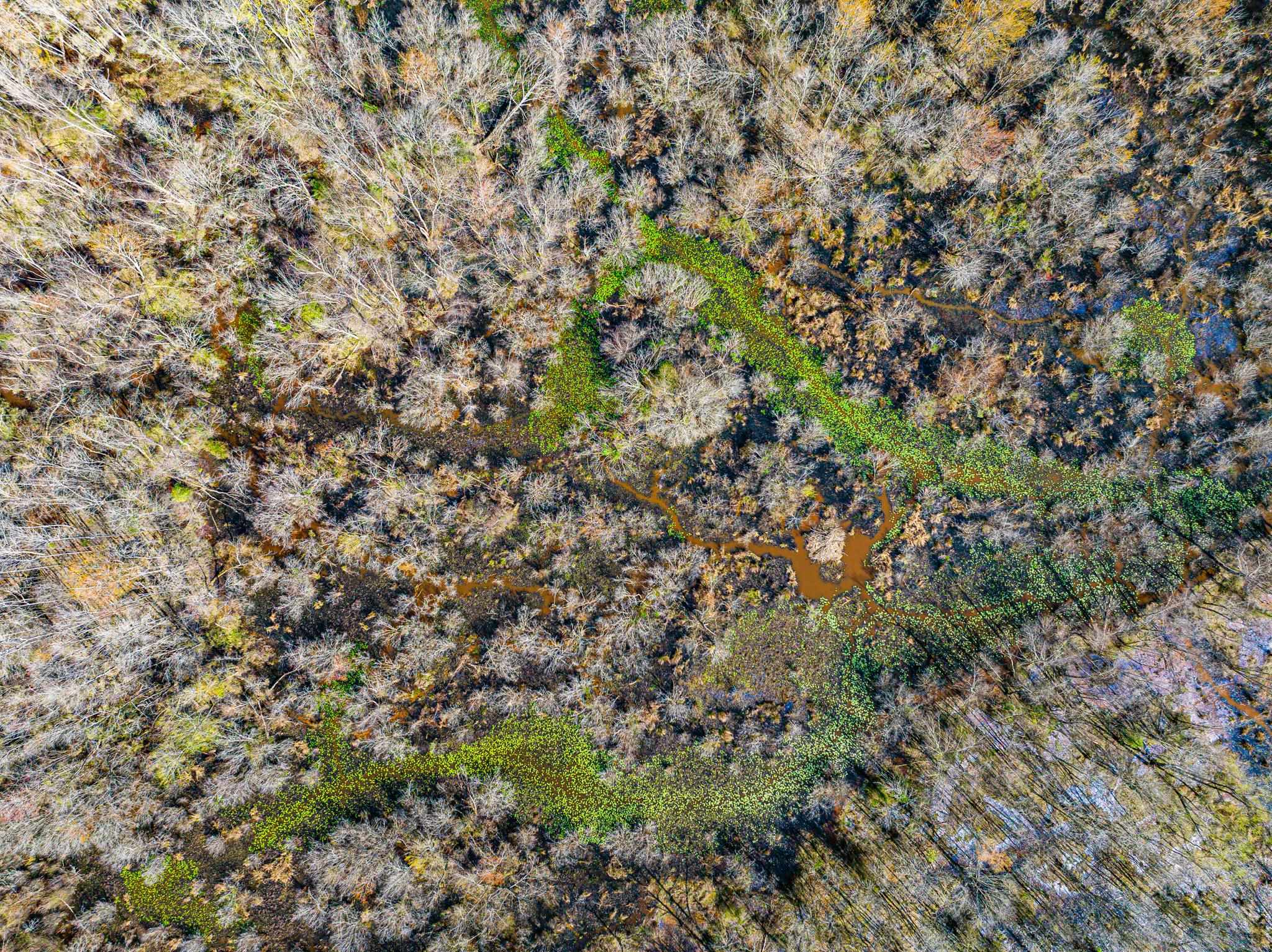 0 Hammlett Road Beech Bluff, TN 38313 - Photo 12 of 25 Aerial view