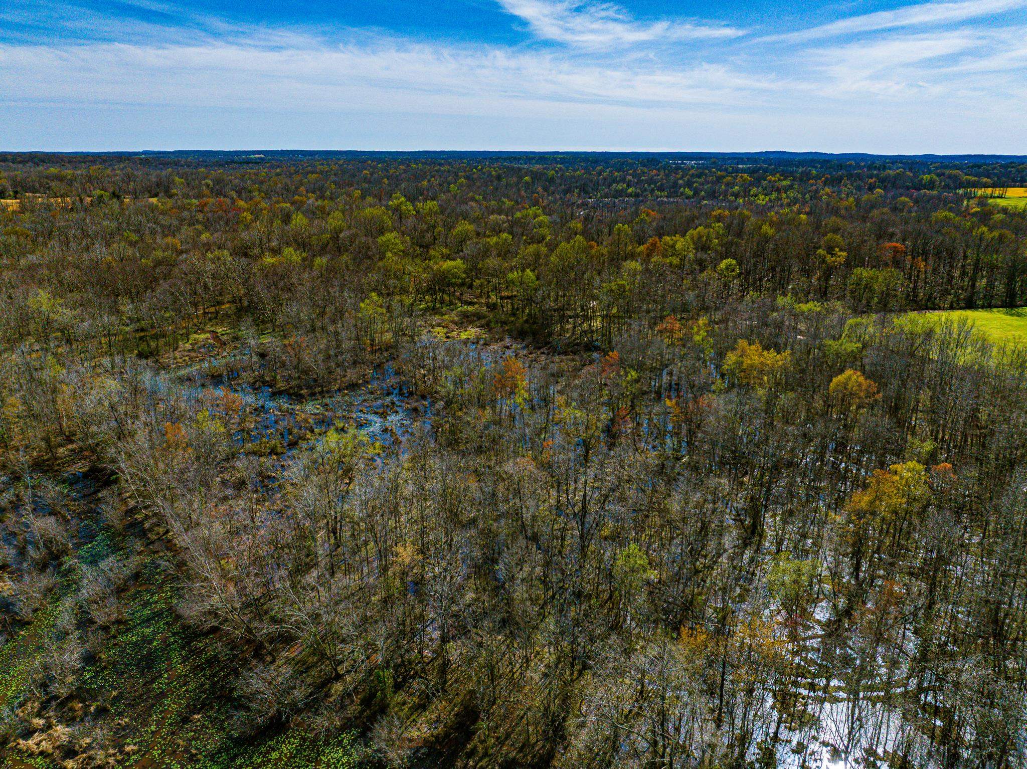 0 Hammlett Road Beech Bluff, TN 38313 - Photo 13 of 25 Bird's eye view of a forest